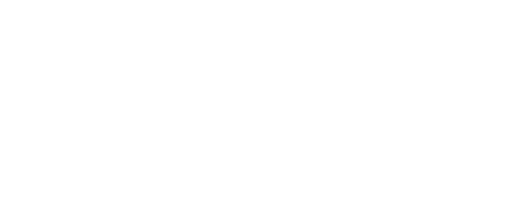 O'PAREBRISE LISSIEU